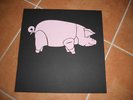 PINK FLOYD ZURIGO 77' 2LP PICTURE & COLOR+ACETATE 7'