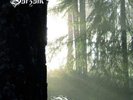 Burzum - Belus WHITE sealed LP   mayhem