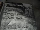 Abner Jay Swaunee Water & Cocaine Sealed LP Brandie