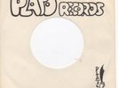 The Outcasts Loving You RARE Garage Psych 45 Plato HEAR