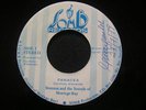 STAMMA and the sound of Montego Bay Panacea Somb Roots