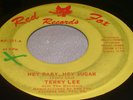 Hear Rocker 45 Terry Lee & The Revelers on Red Fox Baby