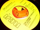 IN-KEEPERS New England fuzz psych garage fading yellow