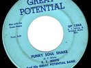 E.T. WHITE + GREAT POTENTIAL BAND 45 “Funky Soul Shake”