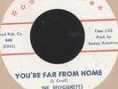 THE BELGIANETTS - YOU'RE FAR FROM HOME - 7