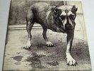 ALICE IN CHAINS - S/T - RARE OOP 1995 2LP 1st U.S. NM