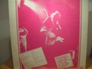 BRUCE SPRINGSTEEN/LIVE AT THE ROXY IN L.A./ RARE