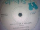 JUNIOR HIBBERTS - REALLY FOR A REASON - ROOTS KILLER 7