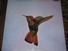 PAUL GONSLAVES - HUMMING BIRD - DERAM UK 1970 MONO
