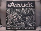 ASSUCK-Misery Index LP/NO COMMENT/SIEGE/