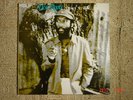 DESI ROOTS - DOING IT RIGHT LP MONSTER ROOTS NM COND