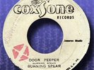 Orig. BURNING SPEAR- DOOR PEEPER- COXSONE- NM- ?