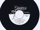 MICKEY HAWKS -SCREAMIN' MIMI JEANIE - 1974 R-A-B REPRO