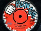 Hurricanes You Can Run UK orig Punch 45 ??