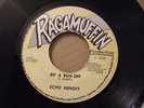 RAGGAMUFFIN /ECHO MINOTT -RIP &RUN OFF KILLA DIGI   7