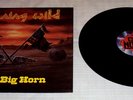 Running Wild : Little Big Horn, rare Vinyl 12