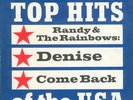 RANDY & THE RAINBOWS * Denise * German Ariola 45 PS TOP