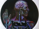 TOOL LATERALUS RARE PROMO PICTURE PIC DISC VINYL LP