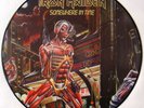 IRON MAIDEN SOMEWHERE IN TIME RARE PICTURE PIC DISC LP