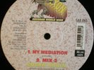 ROGER ROBIN My Meditation UK roots 12
