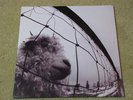 PEARL JAM V.S. 1993  VS LP EPIC #53136  VINYL