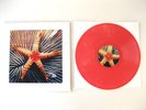 ASTRAL SOCIAL CLUB Star Guzzlers QBICO neil campbell OP