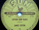 BLUES 78-JAMES COTTON-COTTON CROP BLUES /HOLD ME IN YOU