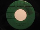 Rockabilly 45 BENNY JOY on ANTLER Little Red Book HEAR