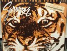 PROMO* Survivor - Eye Of The Tiger *COSMIC ROCK* Scarce