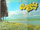 JACKIE WILSON beautiful day BRUNSWICK LP because of you
