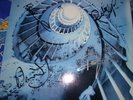 Bauhaus.Peter Murphy. Signed. Autographed (By all 4) LP