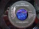 KICKIN MUSTANGS - KICKIN 45 PLATO RARE FUNK ORIG EX++
