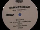 HAMMERHEAD Into The Vortex AMPHETAMINE REPTILE LP