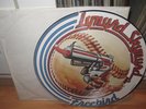 Lynyrd Skynyrd - Freebird 12
