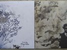 Sigur Ros - Hoppipolla, Saeglopur 2 x 12