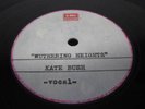 Kate Bush Wuthering Heights Acetate Test Press 10