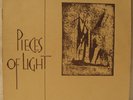 JOE McPHEE JOHN SYNDER Pieces of Light LP PRIVATE JAZZ
