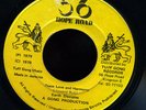 Earth Disciples - Peace, Love and Harmony JA orig 45 ??