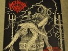 Archgoat - Angelcunt 12
