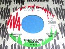 THE LOVING YEARS Garage/Psych 45 Viva Promo NM Listen