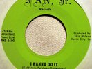 Robin And The Three Hoods RARE 1960 Garage Rock 45 HEAR