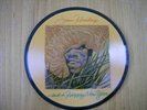 JIMI HENDRIX-AND A HAPPY NEW YEAR- 45RPM PICTURE DISC