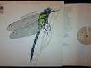 STRAWBS, Dragonfly UK LP 1st pressing A1/B1 stampers