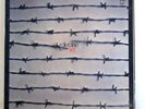 DIES IRAE LP First 1971 Ohrwaschl RI krautrock rare