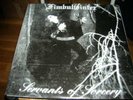 Fimbulwinter - Servants Of Sorcery LP dimmi borgir