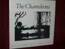 The Chameleons  Vinyl LP  Eclipse of the Sun LTD 500