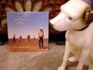 The Flatlanders LP- Jimmie Dale Gilmore- Joe Ely- Butch