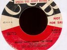 Don Ruby on Cub Promo Rockabilly 45 Hear