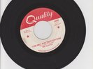 GARAGE PUNK The Haunted I CAN ONLY GIVE Quality Canada
