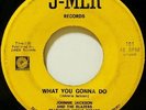 Rare NOLA Soul 45 JOHNNIE JACKSON what you J-MER mp3